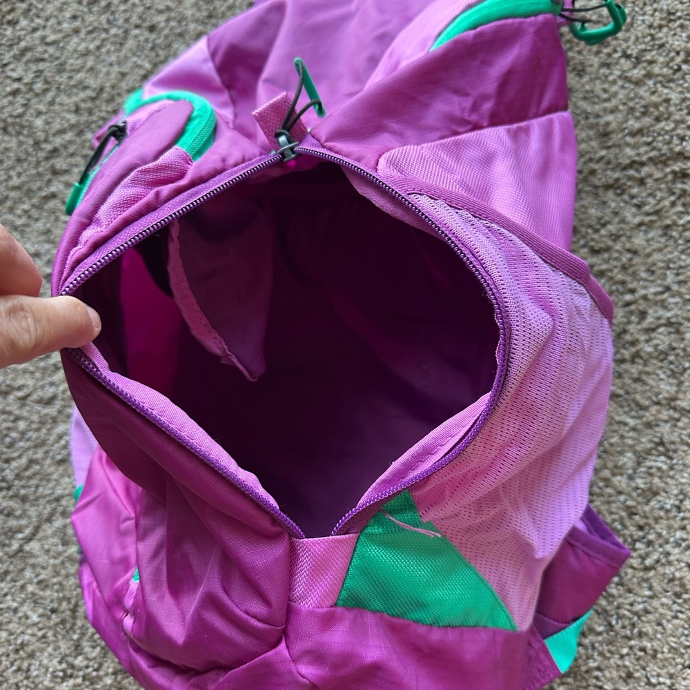 Backpacking Bag - image 2